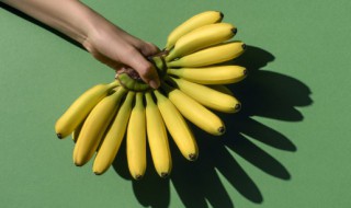 芭蕉和香蕉区别在哪（芭蕉和香蕉区别在哪里）