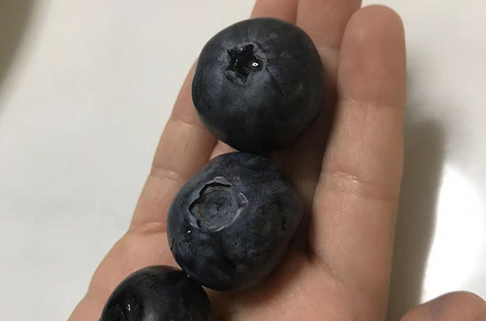 蓝莓里面有籽是正常的吗 蓝莓中间有很多籽能吃吗