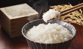 微波炉热米饭需要几分钟什么火（微波炉加热米饭需要35分钟还是35秒）