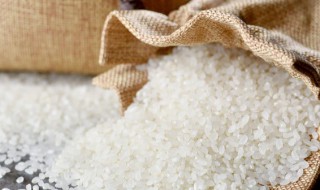 籼米和普通大米有什么区别 籼米煮饭好吃吗
