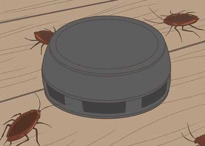 消灭蟑螂最高效最彻底的方法-小妙招
