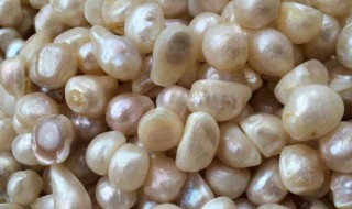 海水珠和淡水珠的区别（海水珠和淡水珠的区别图片）