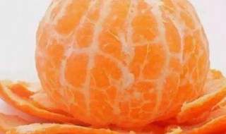 橘子外面的白丝是什么（橘子外面的白丝是什么作用）