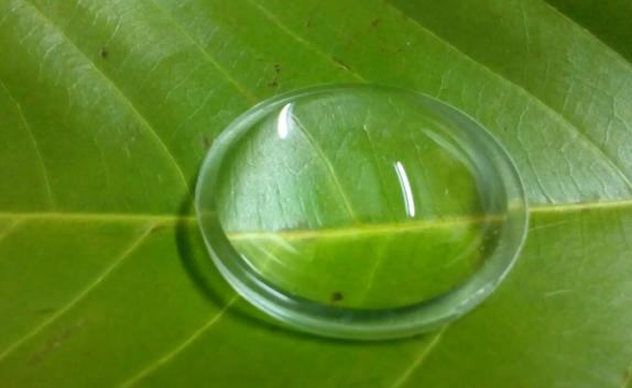 世界上最大单颗凸透镜直径是多少？凸透镜成什么像