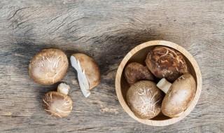 生料种香菇管理方法 生料种香菇管理方法有哪些
