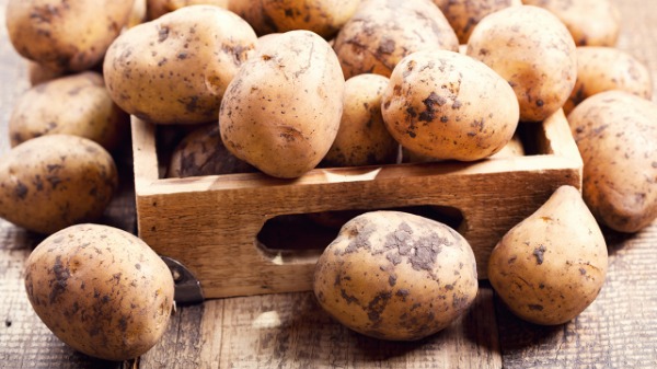 土豆的营养价值有哪些 土豆如何烹饪才能减少营养流失