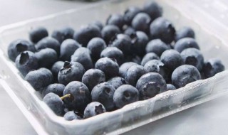 蓝莓冷藏好还是常温好 蓝莓是冷藏还是冷冻