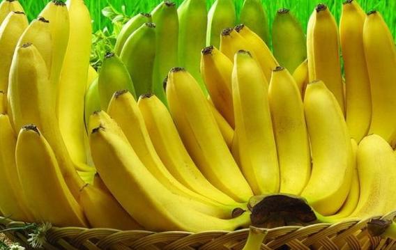 芭蕉为什么比香蕉贵？芭蕉怎么催熟