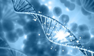 DNA是酸性物质还是碱性 dna是酸性的吗