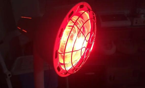 红外线灯可以天天用吗？红外线烤灯长期烤有害吗