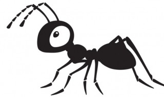 家里有红蚂蚁是什么原因 家里有红蚂蚁是什么兆头