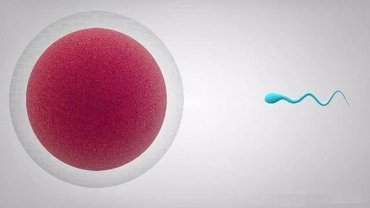 精子进去多久可以测出怀孕(同房后立即排尿和洗能受孕吗)