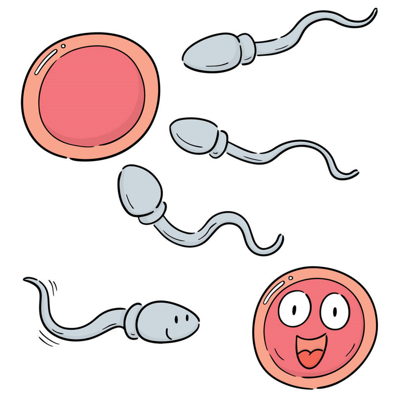 精子进去多久可以测出怀孕(同房后立即排尿和洗能受孕吗)
