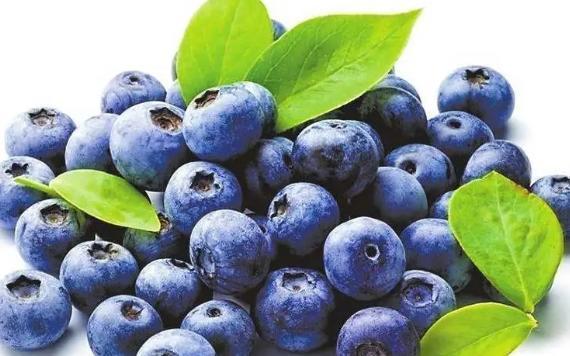 吃蓝莓的好处和坏处都有哪些？蓝莓一年四季都有吗