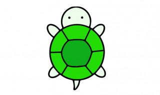 乌龟的寓意 乌龟的寓意和象征富甲一方