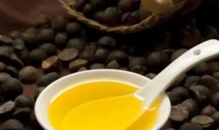 山茶籽油怎么吃 山茶籽油怎么吃对身体有好处