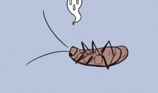 屋子里为什么有蟑螂 屋子里为什么有蟑螂的原因