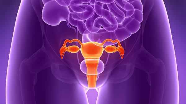 子宫肌瘤恶变的原因是什么 子宫肌瘤恶变有什么症状