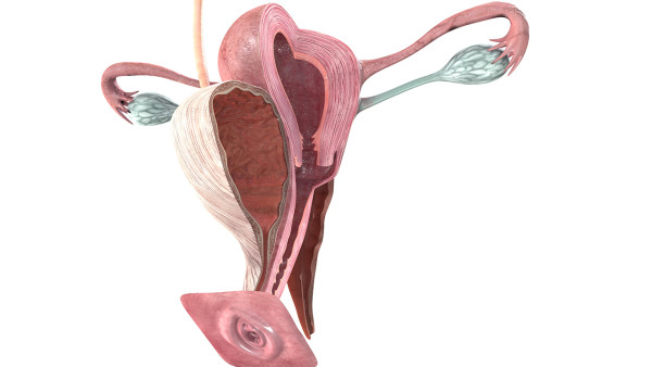 子宫肌瘤卵巢囊肿吃什么药 子宫肌瘤卵巢囊肿治疗