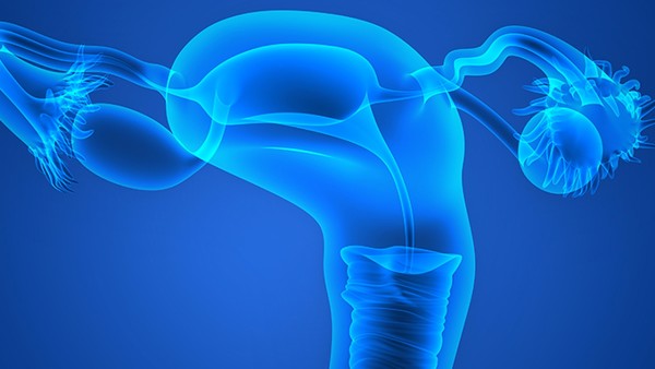 子宫肌瘤的五大原因是什么 子宫肌瘤怎样形成原因