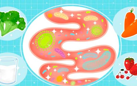 婴儿吃益生菌有什么好处 ？什么情况下需要补充益生菌 