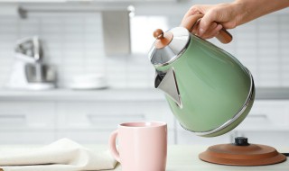 家庭清洗热水壶小妙招 清洗热水壶水垢的方法