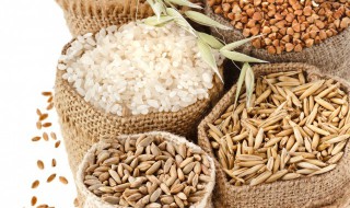 大麦出来的是什么粮食 大麦是主粮吗
