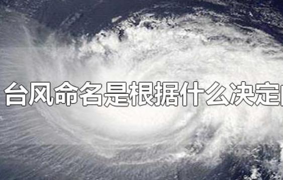 台风命名是根据什么决定的？白色台风是什么意思