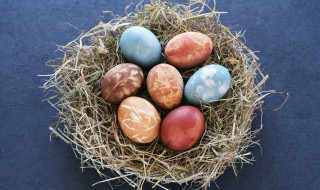 复活节为什么有彩蛋（复活节为什么有彩蛋和兔子）