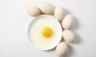 为什么美国的鸡蛋是白色的（火鸡蛋一个多少元）