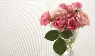 玫瑰花怎么保存才能保鲜 玫瑰花怎么保存才能保鲜呢