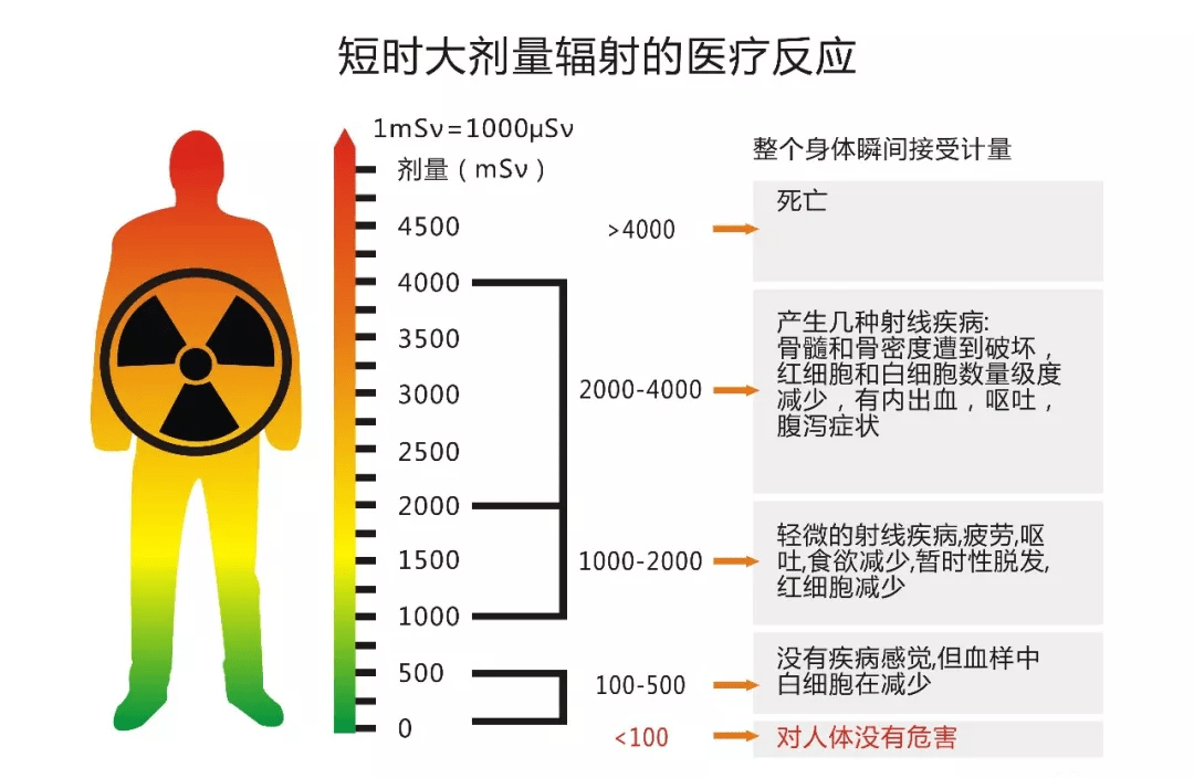 辐射对人体的危害图片