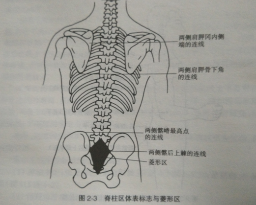 臀大肌注射的定位方法
