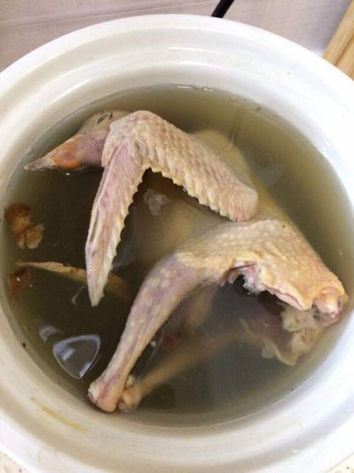 孕妇可以喝鸽子汤吗