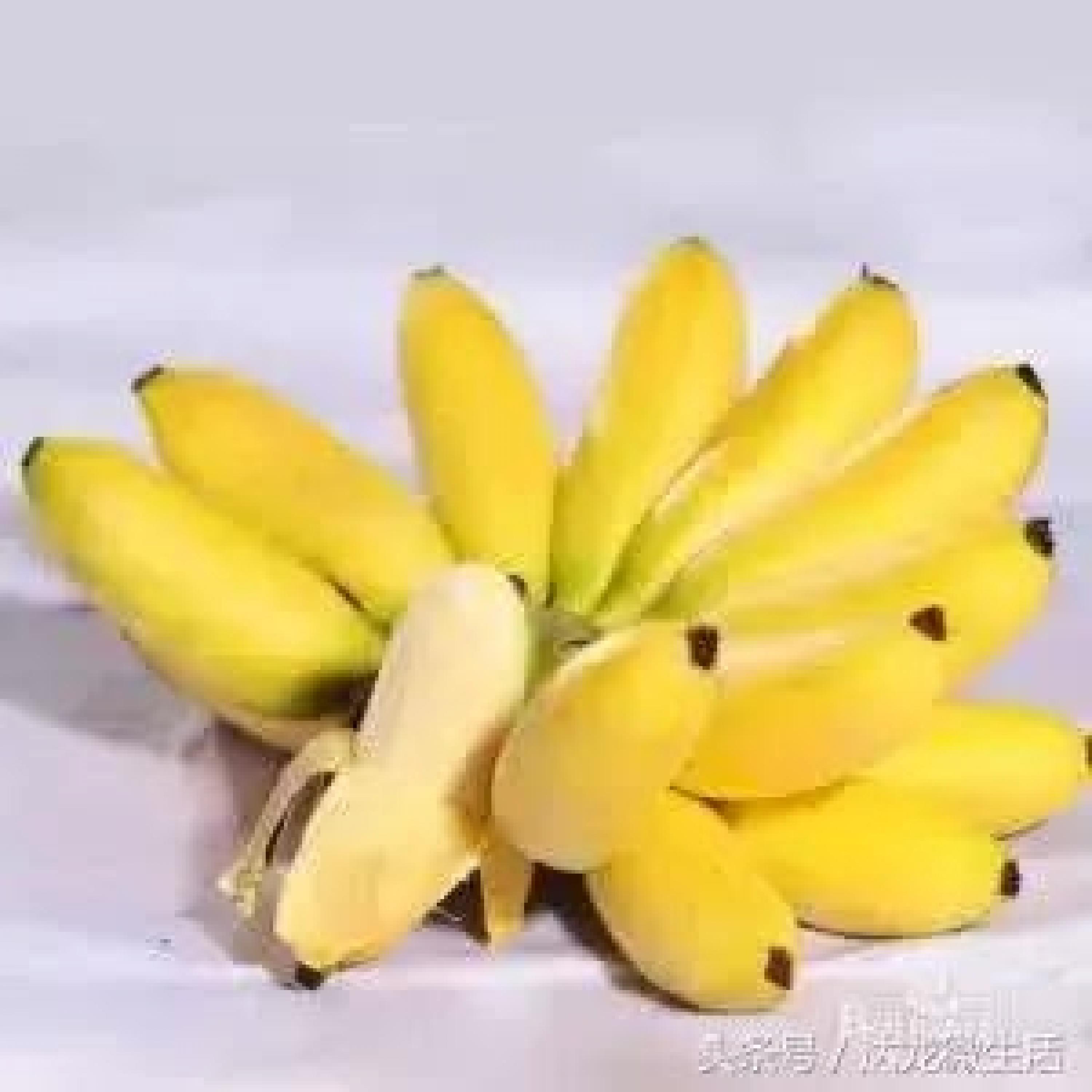 产妇可以吃香蕉吗
