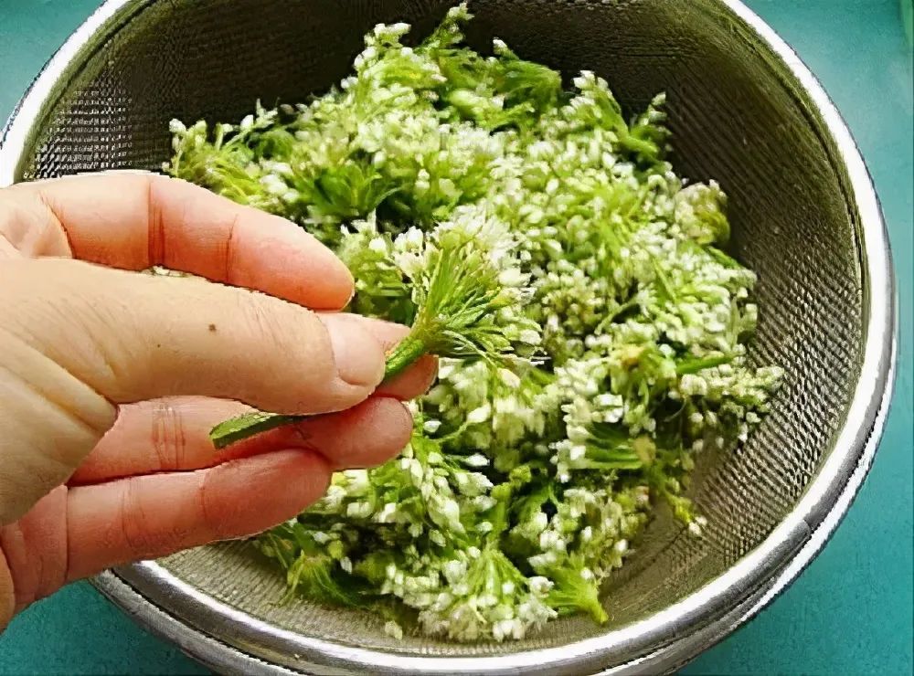 韭菜花的腌制方法
