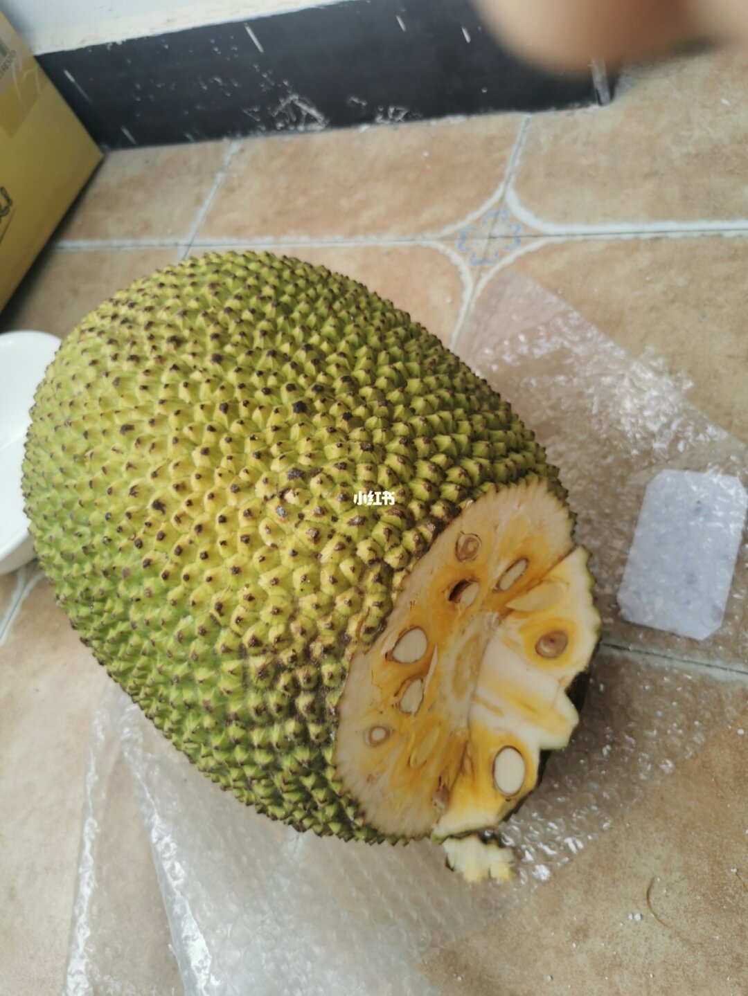 菠萝蜜能放冰箱吗