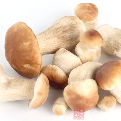 蘑菇是不是发物
