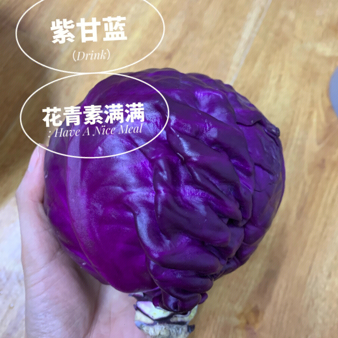 紫甘蓝可以生吃吗