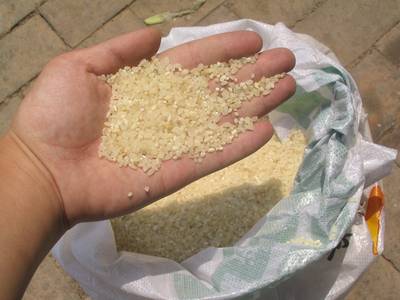 皂角米多少钱一斤