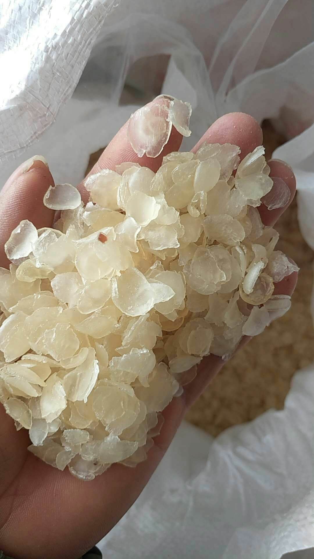 皂角米多少钱一斤