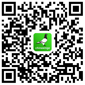 上海信鸽协会网