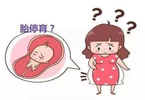 胎停育的原因