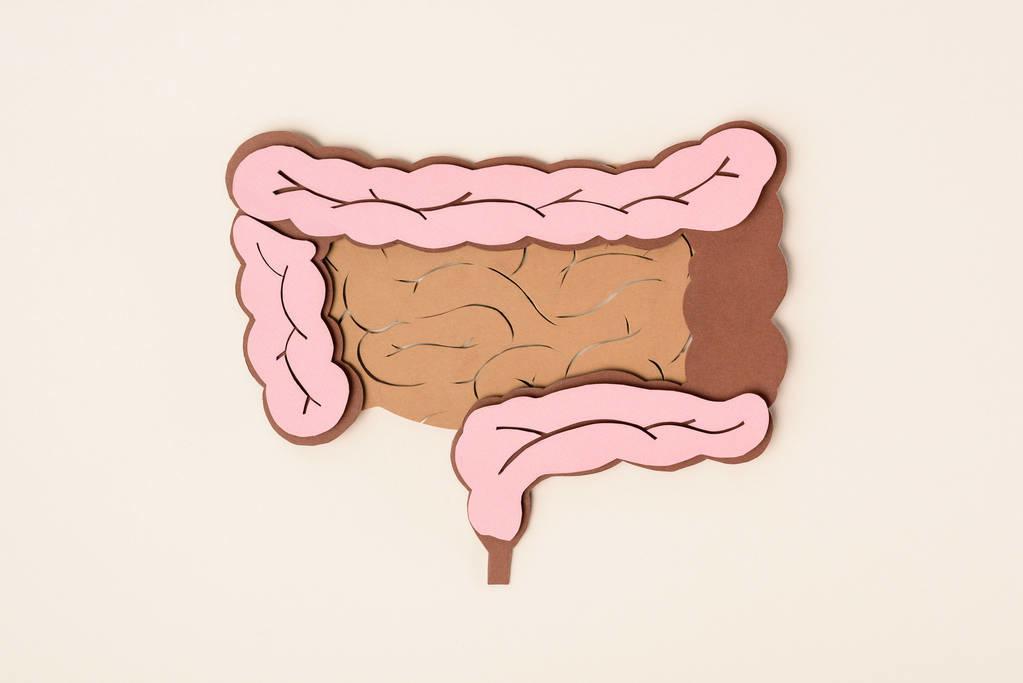 肠息肉是怎么形成的