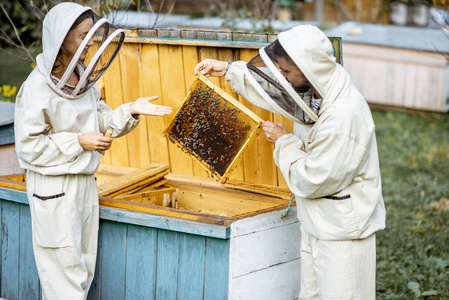 怎样养蜂技术培训