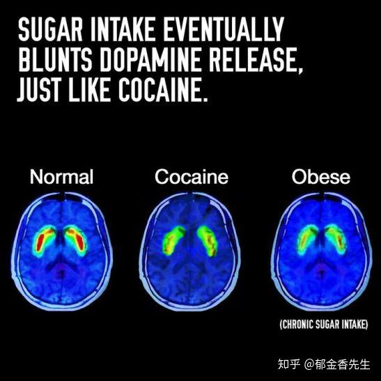 糖代谢是什么意思