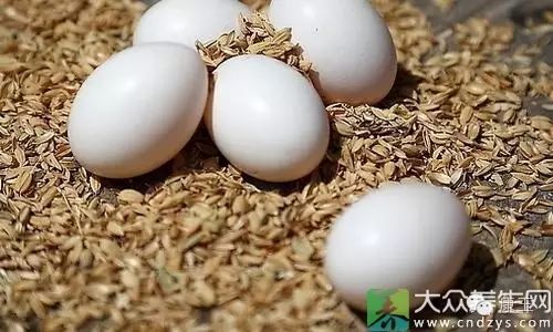 鸽子蛋有营养吗