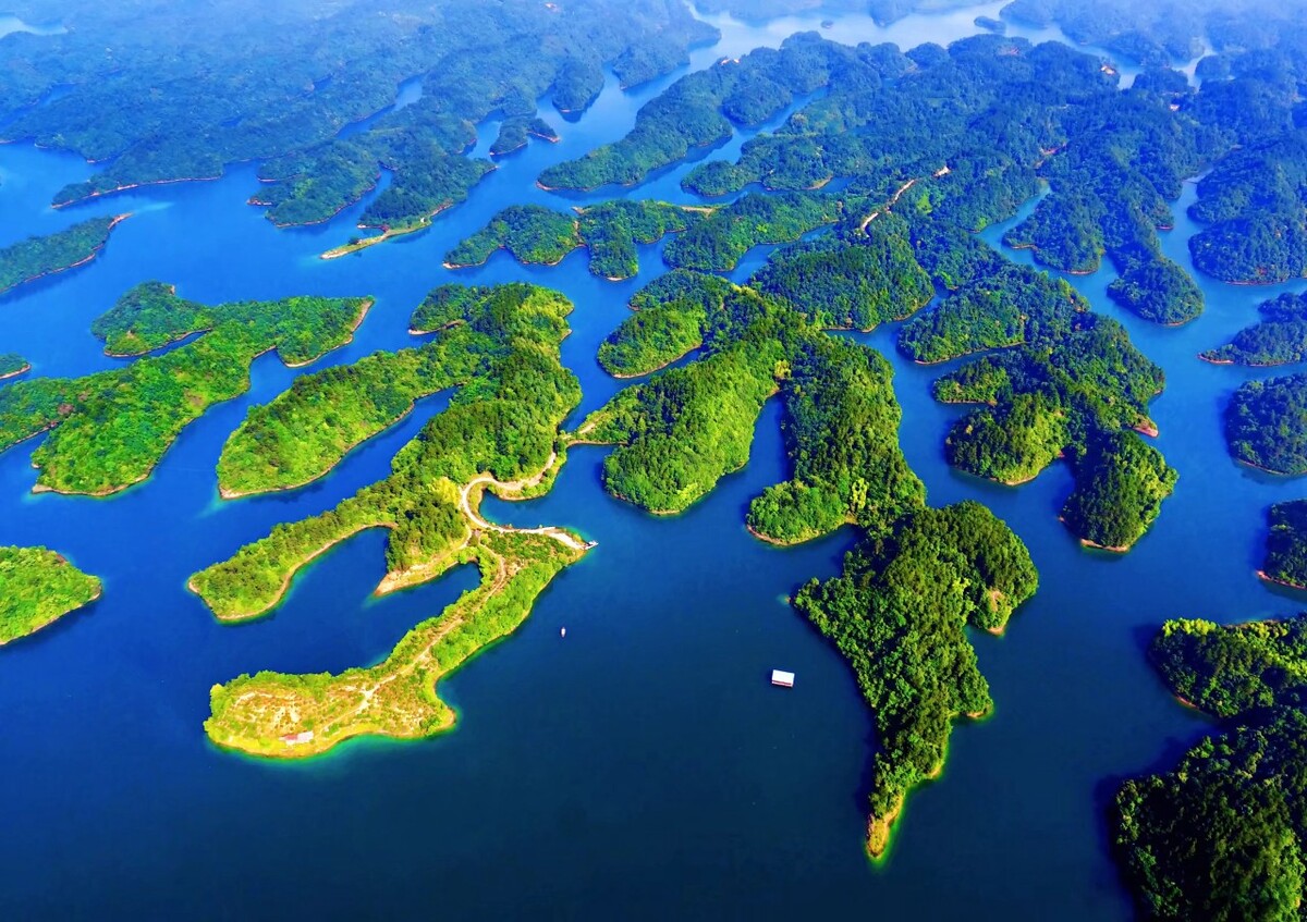 千岛湖蛇岛