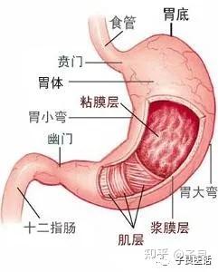 胃窦壁增厚