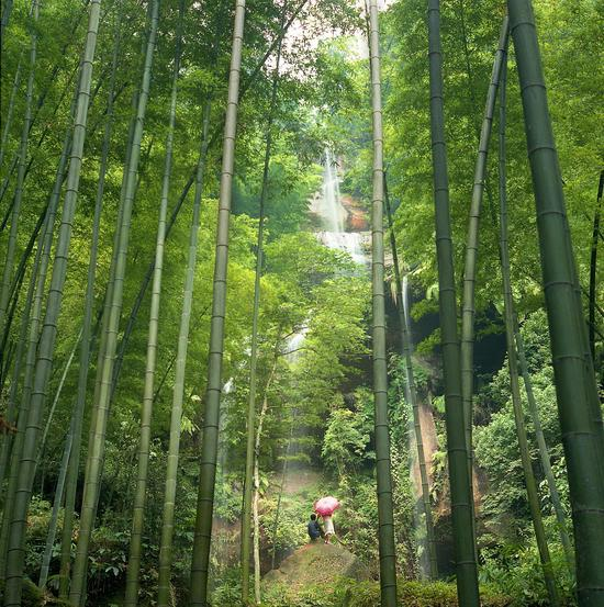 龙吟寺